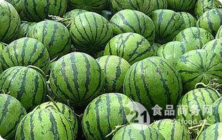 芋瓜价格今日行情最新,今日行情解析与趋势预测”