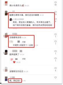 40万左右明星网红推荐,揭秘热门爆款背后的秘密